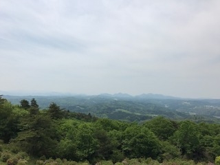 (ブログ) セラピーツアー in 奈良 ありがとうございました