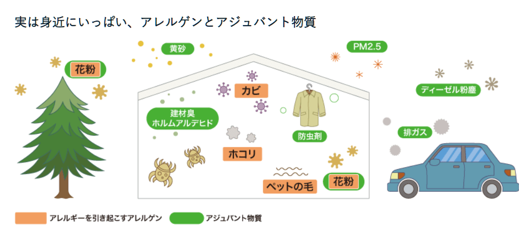 (お知らせ) 当院における花粉症・アレルギー性鼻炎　治療、対処法 2025